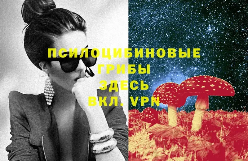 blacksprut зеркало  где купить   Истра  Галлюциногенные грибы MAGIC MUSHROOMS 